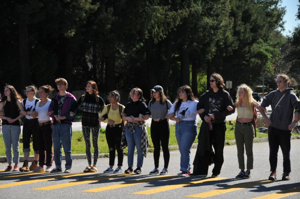 12 students in a line along a crosswalk with arms linked